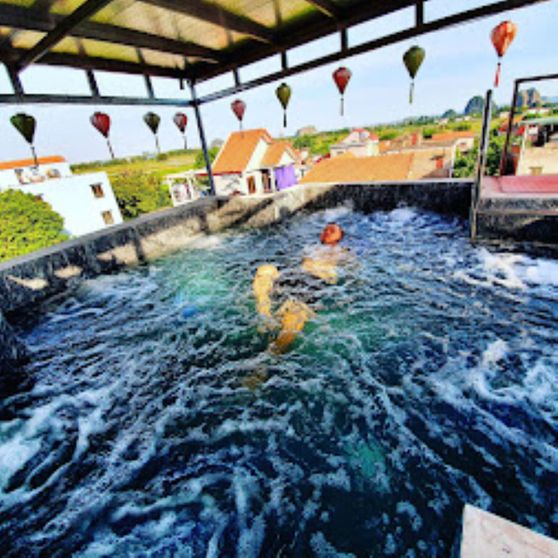 Ảnh Tam Coc La Siesta Homestay