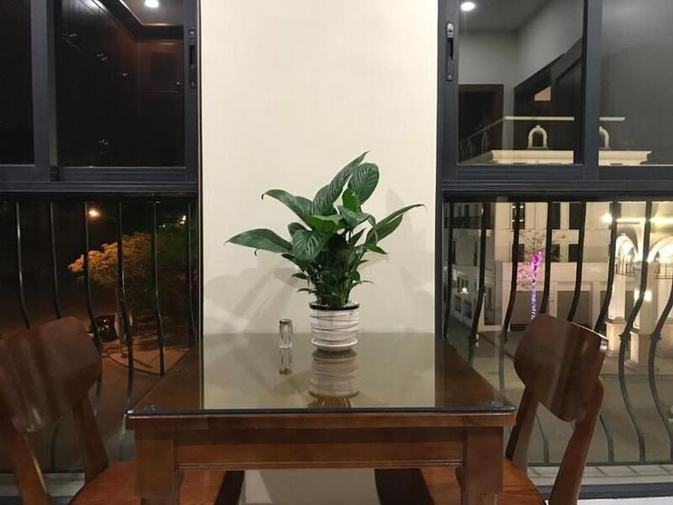 Ảnh SAOLA Apartment & Hotel