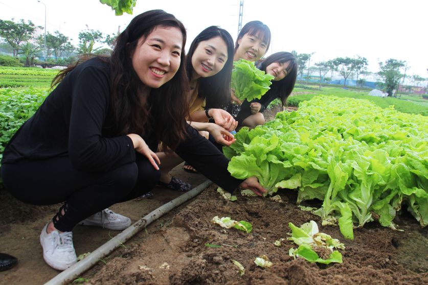 Ảnh HSB Office and Apartment