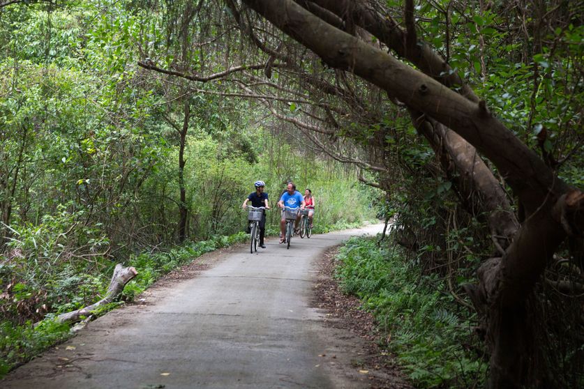 Ảnh Du thuyền Azalea
