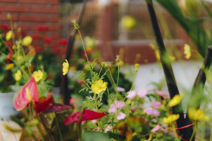 Ảnh Phong Nha Love Homestay