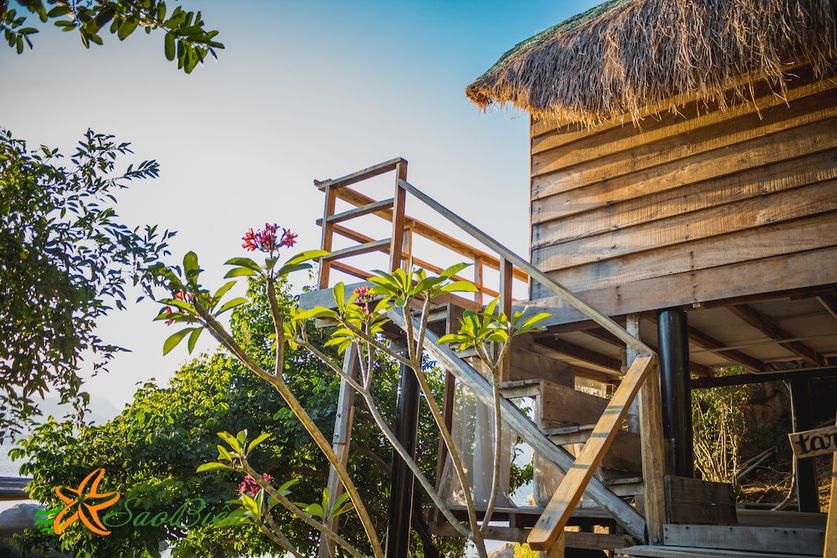 Ảnh Sao Biển Cam Ranh