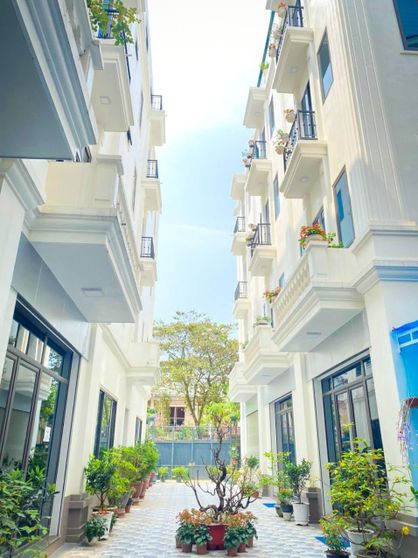 Ảnh Sunny House Hotel Ảnh Sunny House Hotel