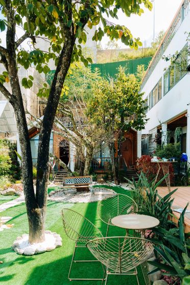 Ảnh Nhà Sói Homestay Da Lat Ảnh Nhà Sói Homestay Da Lat