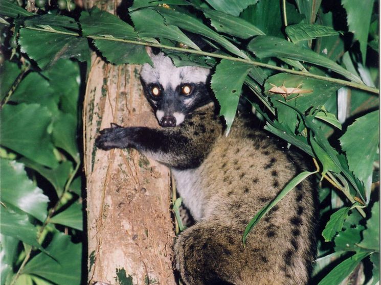 Ảnh Cat Tien Farmstay