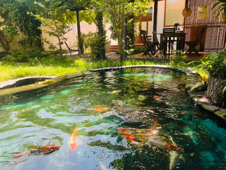 Ảnh Ami Homestay Mui Ne