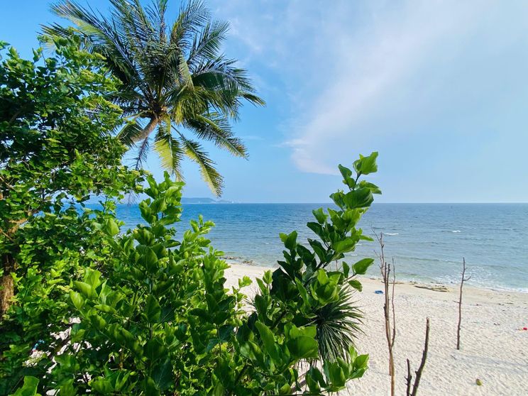 Ảnh Biển Ngọc Homestay Đảo Bé Lý Sơn 