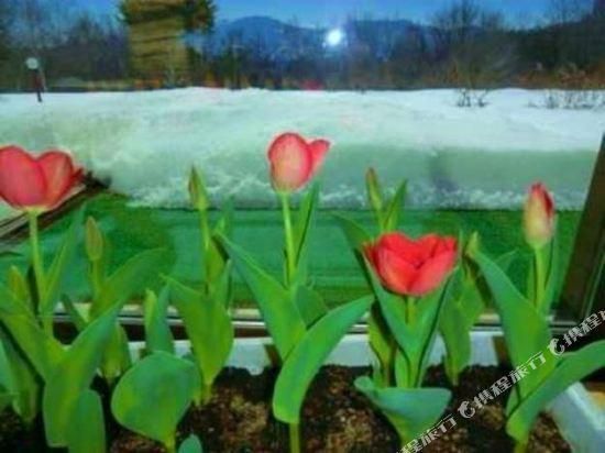 Ảnh Tsumagoinoyado Aisai