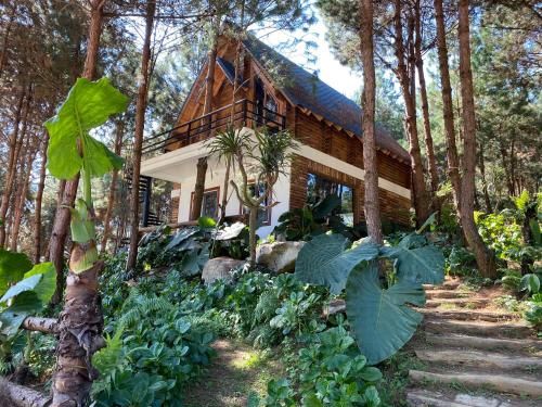 Ảnh The Nordic Village - Evergreen Retreat