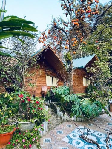 Ảnh Nobita Homestay bac ha