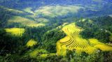 Kinh nghiệm du lịch Hà Giang 3 ngày 2 đêm năm 2025