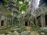 Đền Ta Prohm năm 2025