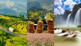 Ngất ngây vẻ đẹp Việt Nam 'trên từng milimet' năm 2025