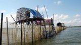 Tìm về nhà giàn trên phá Tam Giang năm 2025
