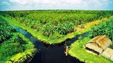 Xuôi dòng Đất Mũi - Thiêng liêng niềm tự hào dân tộc năm 2025