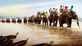 Đến Tây Nguyên thực hiện giấc mơ cưỡi voi thuở bé năm 2025