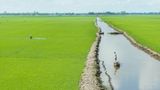 Những điều cần lưu ý khi phượt miền Tây bằng xe máy - Phần 2 năm 2025