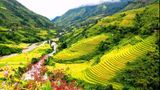 Khám phá Bản Hồ - Lào Cai sức hấp dẫn kỳ diệu năm 2025