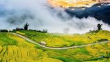 Sắc thu đổ vàng trên vùng cao Ngải Thầu năm 2025