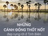 13 trải nghiệm 'vừa đẹp vừa ngon' chỉ có ở An Giang năm 2025