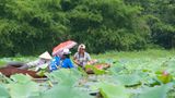 Hồ Quan Sơn, "Hạ long trên cạn" của Hà Tây năm 2025