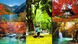 Lạc bước thiên đường mùa thu ở Á Châu năm 2025