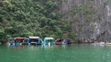 Làng chài Việt Hải - chốn chân quê giữa đảo Cát Bà năm 2025