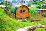 Có một 'ngôi làng Hobbit' như thế tại Đà Lạt năm 2025