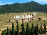 Bật mí trải nghiệm leo núi Langbiang siêu thú vị năm 2025