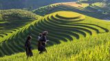 Say đắm bức tranh Lao Chải – Tả Van mùa thu sang năm 2025