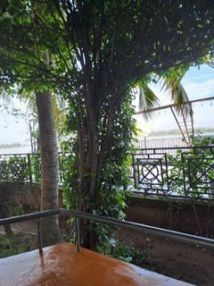 Ảnh người dùng đánh giá Bến Tre Riverside Resort Ảnh người dùng đánh giá Bến Tre Riverside Resort