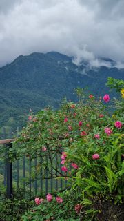 Ảnh người dùng đánh giá Khách sạn Pao's Sapa Leisure Ảnh người dùng đánh giá Khách sạn Pao's Sapa Leisure