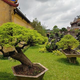 Ảnh người dùng đánh giá Khách Sạn Indochine Palace Huế Ảnh người dùng đánh giá Khách Sạn Indochine Palace Huế