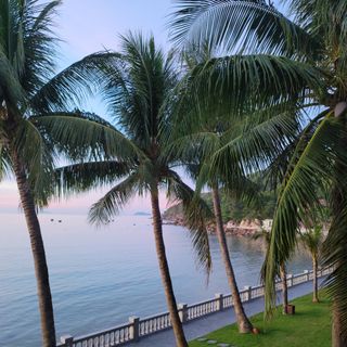 Ảnh người dùng đánh giá Dankbaar Resort Quy Nhơn Ảnh người dùng đánh giá Dankbaar Resort Quy Nhơn