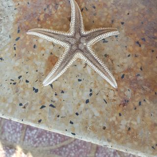 Ảnh người dùng đánh giá Novela Muine Resort & Spa Ảnh người dùng đánh giá Novela Muine Resort & Spa