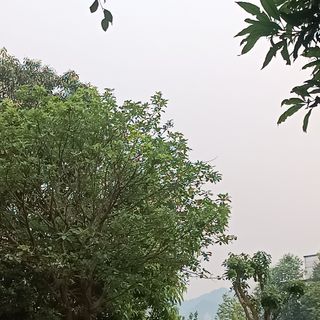 Ảnh người dùng đánh giá Khách Sạn Mường Thanh Holiday Con Cuông Ảnh người dùng đánh giá Khách Sạn Mường Thanh Holiday Con Cuông