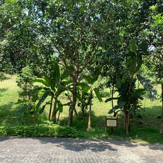Ảnh người dùng đánh giá Khu Nghỉ Dưỡng Suối Khoáng Nóng Núi Thần Tài Ebisu Onsen Đà Nẵng Ảnh người dùng đánh giá Khu Nghỉ Dưỡng Suối Khoáng Nóng Núi Thần Tài Ebisu Onsen Đà Nẵng