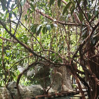 Ảnh người dùng đánh giá Khu Nghỉ Dưỡng Suối Khoáng Nóng Núi Thần Tài Ebisu Onsen Đà Nẵng Ảnh người dùng đánh giá Khu Nghỉ Dưỡng Suối Khoáng Nóng Núi Thần Tài Ebisu Onsen Đà Nẵng