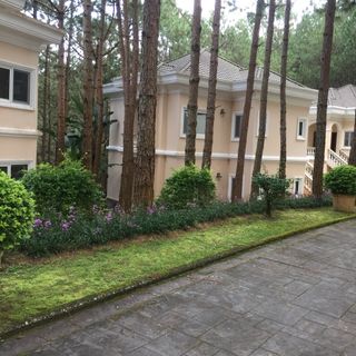 Ảnh người dùng đánh giá Đà Lạt Edensee Lake Resort & Spa Ảnh người dùng đánh giá Đà Lạt Edensee Lake Resort & Spa