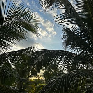 Ảnh người dùng đánh giá La Siesta Hội An Resort & Spa