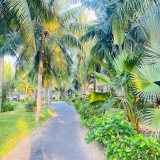 Ảnh người dùng đánh giá CocoLand Riverfront Resort & Wellness Quang Ngai Ảnh người dùng đánh giá CocoLand Riverfront Resort & Wellness Quang Ngai