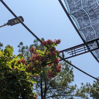 Ảnh người dùng đánh giá Sankofa Village Hill Resort and Spa Ảnh người dùng đánh giá Sankofa Village Hill Resort and Spa
