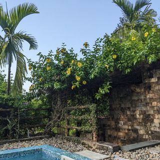Ảnh người dùng đánh giá Sankofa Village Hill Resort and Spa Ảnh người dùng đánh giá Sankofa Village Hill Resort and Spa