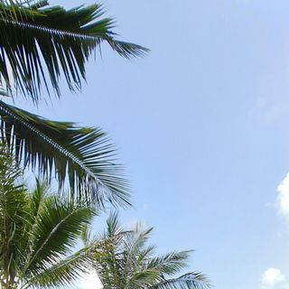 Ảnh người dùng đánh giá Sankofa Village Hill Resort and Spa Ảnh người dùng đánh giá Sankofa Village Hill Resort and Spa