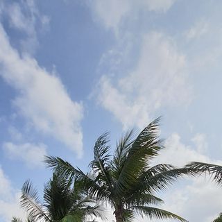 Ảnh người dùng đánh giá Sankofa Village Hill Resort and Spa Ảnh người dùng đánh giá Sankofa Village Hill Resort and Spa