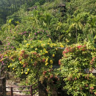 Ảnh người dùng đánh giá Sankofa Village Hill Resort and Spa Ảnh người dùng đánh giá Sankofa Village Hill Resort and Spa
