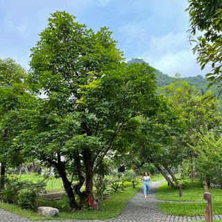 User's review image for Aravinda Resort Ninh Binh