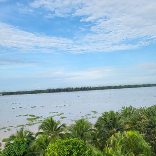 Ảnh người dùng đánh giá Bến Tre Riverside Resort Ảnh người dùng đánh giá Bến Tre Riverside Resort