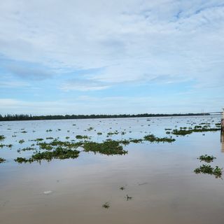 Ảnh người dùng đánh giá Bến Tre Riverside Resort Ảnh người dùng đánh giá Bến Tre Riverside Resort