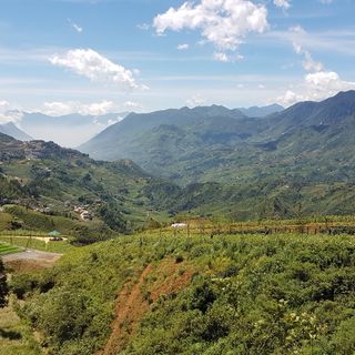 User's review image for Mimosa Sapa Hotel User's review image for Mimosa Sapa Hotel